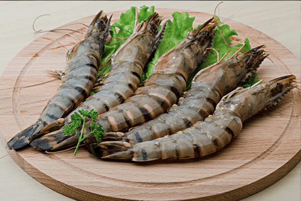 Sea tiger shrimps