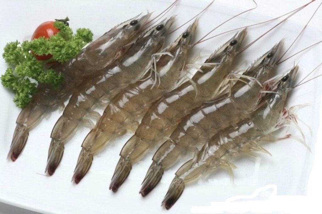 Vanamei shrimps